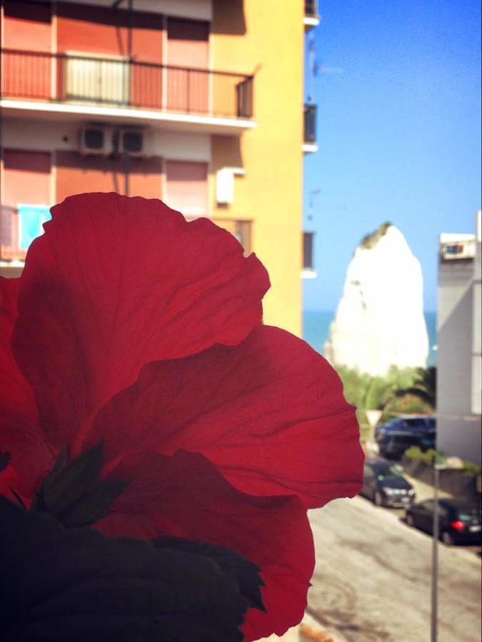 B&B Pizzomunno Vieste Exterior photo